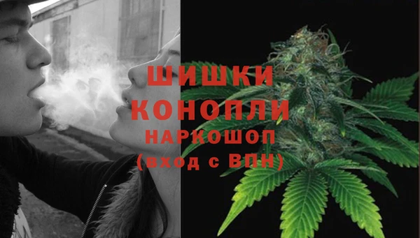 молекула духа Нягань