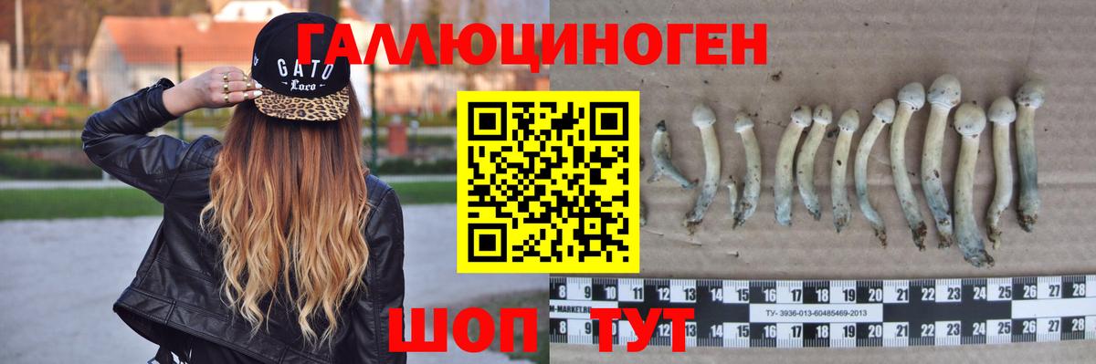 Псилоцибиновые грибы мицелий  Вход с VPN  Псилоцибиновые грибы Magic Shrooms  Россошь 